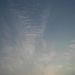 080802morning