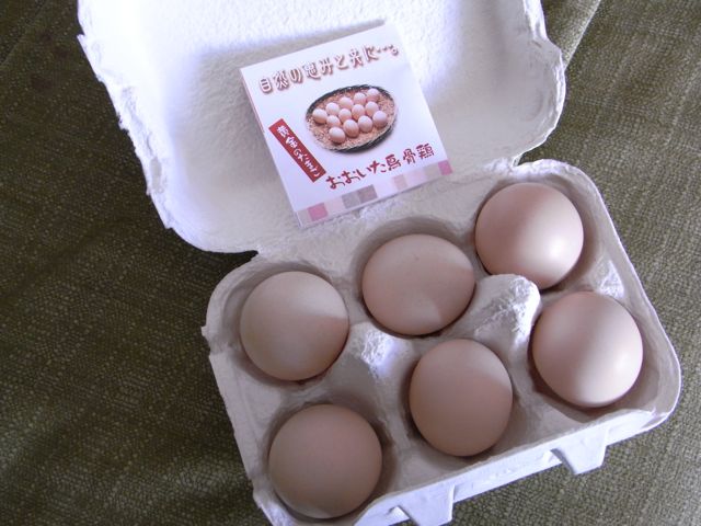 Egg2