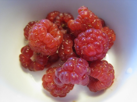 Rasberry2010